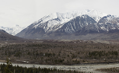 Image showing Spring view of Black Rapids glacier moraine