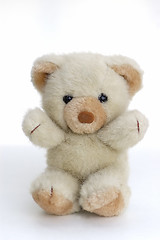 Image showing Teddy Bear