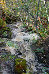 Image showing Small Natural Brook