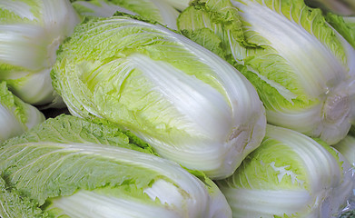 Image showing Chinese cabbages