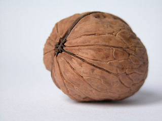 Image showing nut