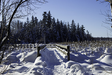 Image showing Winter Scene