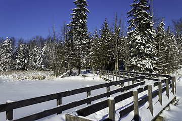 Image showing Winter Scene