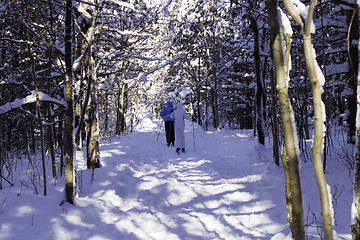 Image showing Winter Scene