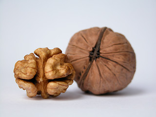 Image showing nuts