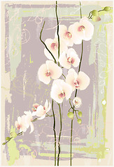 Image showing Greeting card with orchid. Illustration orhid.