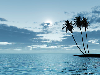 Image showing palm trees in a moonlight