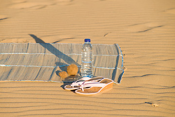 Image showing Hydration on the beach