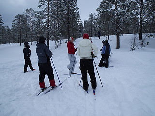 Image showing Ski trip