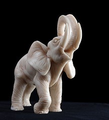 Image showing Elephant model