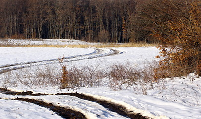 Image showing rural road near the forest