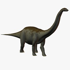 Image showing Apatosaurus