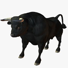 Image showing Bull