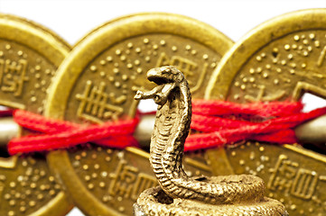 Image showing Feng shui year of the snake