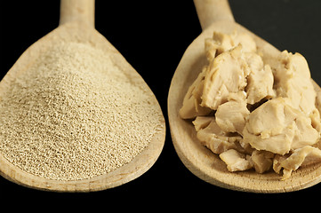 Image showing baking ingredient yeast powder and fresh yeast
