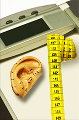 Image showing acupuncture for weight loss