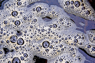 Image showing bubbles of dung
