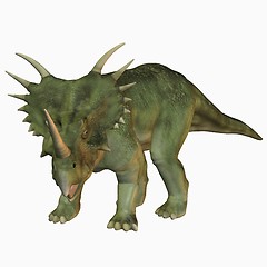 Image showing Styracosaurus