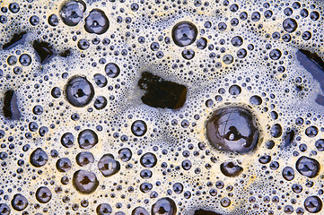 Image showing Bubbles of dung in a creek