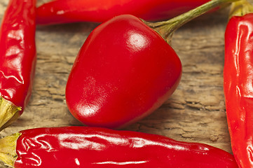 Image showing cascabel chili