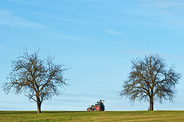 Image showing Trecker within trees