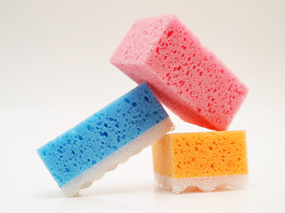 Image showing Tricolor sponges