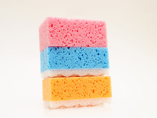 Image showing Tricolor sponges