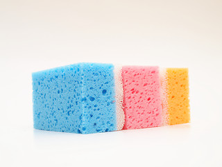 Image showing Tricolor sponges