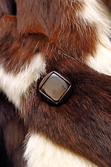 Image showing button on a coat