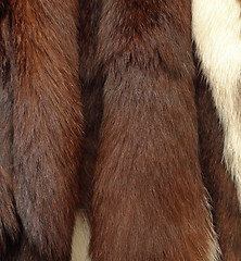 Image showing detail of a fur coat