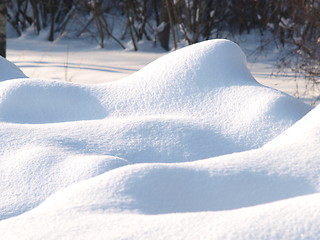 Image showing Fresh snow