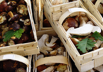 Image showing mushroom baskets