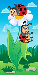 Image showing Image with ladybug theme 4