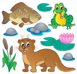 Image showing River fauna collection 1