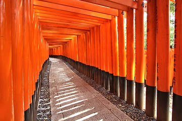 Image showing Japan - Fushimi Inari