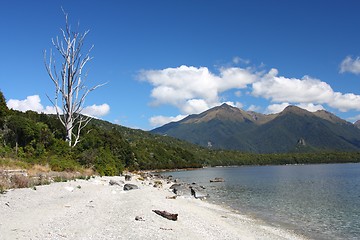 Image showing New Zealand