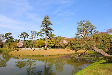 Image showing Japanese garden