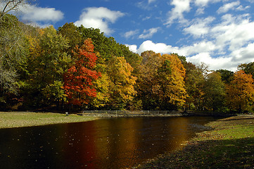 Image showing Fall Foliage