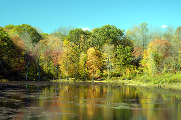 Image showing Fall Reflection