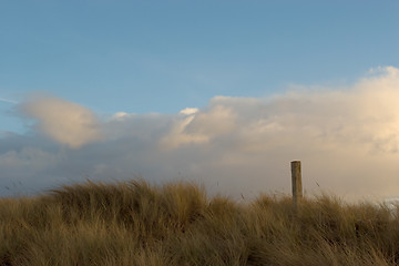 Image showing Sea Grass, Clouds, Sky