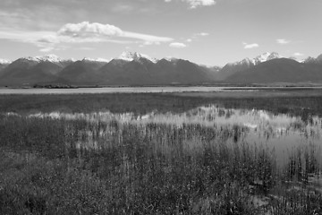 Image showing The Mission Mountains