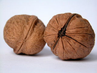 Image showing nuts