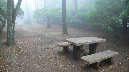 Image showing wooden bench in misty park
