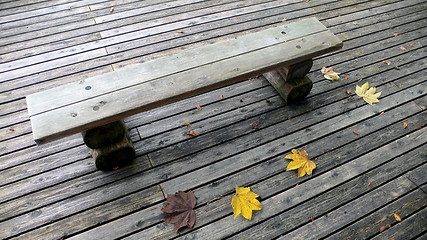 Image showing bench in autumn park