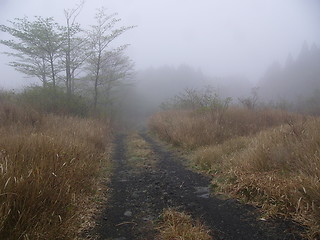 Image showing misty mountain road