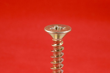 Image showing Screw