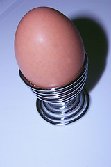 Image showing egg