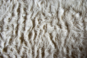 Image showing Carpet