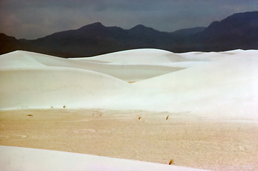 Image showing White Sands