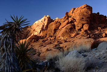 Image showing Red Rock Canyon